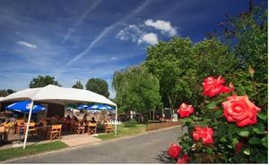 Image of Camping La Belle Etoile
