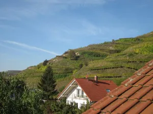 Image of Weingut & Straußwirtschaft Vogel