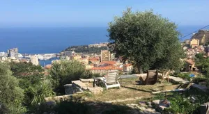 Image of Le petit jardin exotique