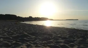Image of Krähennest am Strand - ABC52