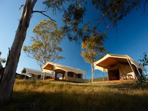 Image of Spicers Canopy