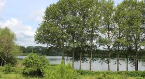 Image of Ferienwohnung Last