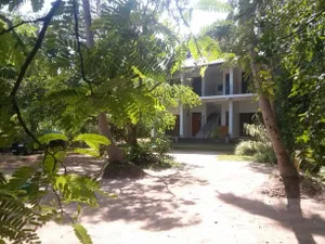 Image of Green Earth Resort