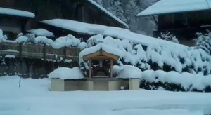 Image of Ferme Dowena