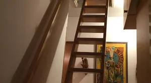 Image of Haus Gardi