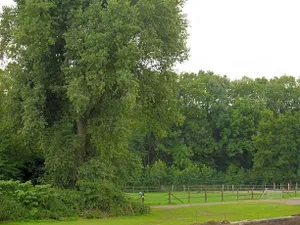 Image of Ruhrstadtarena Hotel