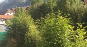 Image of Ferienwohnung "Die 14"