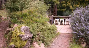 Image of The Escarpment