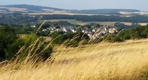 Image of Ferienwohnung 554 - Urbar, vis-a-vis der Loreley