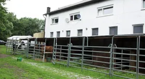 Image of Ferienwohnung Ulrichstein/ Bobenhausen II