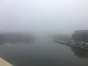 Image of Kingston on the Foreshore