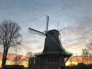 Image of Nabij de Molen