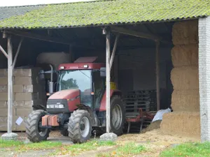 Image of Op De Beemd