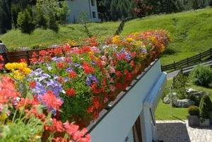 Image of Appartements Delano