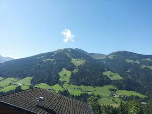 Image of Alpbach 646