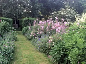 Image of Bed and Garden Alde Coninckshof