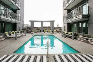 Image of Stay Alfred at Linear