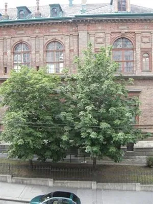 Image of Pension Schottentor