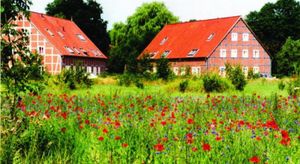 Image of 1. Deutsches Kartoffel-Hotel