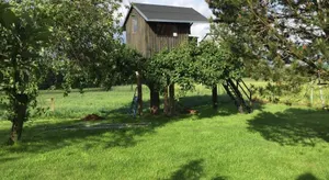 Image of Zurück zur Natur...