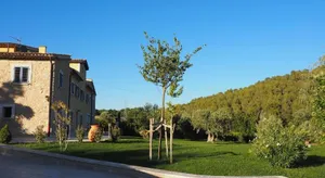 Image of campagne de pimayon