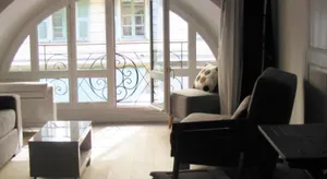 Image of Sam Le Lezard Sarl