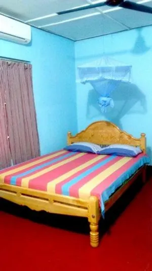 Image of Amila Guest