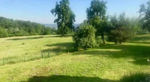 Image of Guesthouse Passau