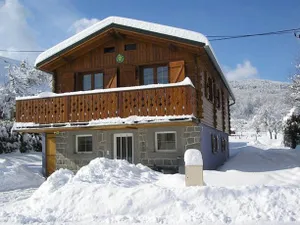 Image of Les Bouquetins