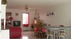 Image of iledo