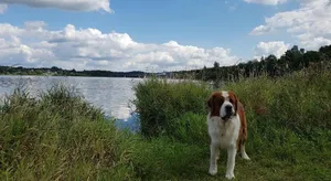 Image of Feriendomizil am Zeulenrodaer Meer