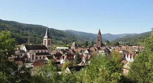 Image of Les Gentianes
