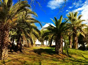 Image of Apartment Les Marquises-2 by Interhome