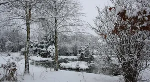 Image of B&B Au Chat'rme des Blanches Pierres