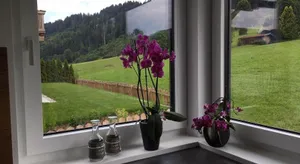 Image of Appartement Ruhstatt