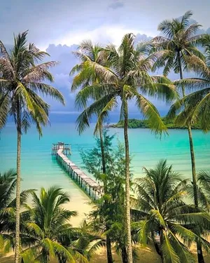 Image of BB Dorm Koh Kood
