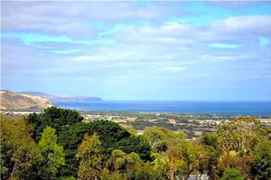 Image of Watson Park