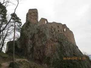 Image of Chene Rouge