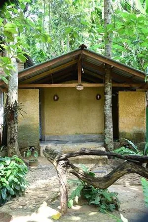 Image of Kumbuk Sevena Adventure Camp