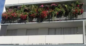 Image of Chez Christiane Joue-les-Tours