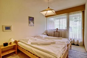 Image of Appartement à 200m de la télé-cabine de Vercorin