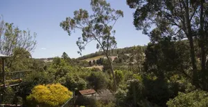 Image of Lazy Acre Perth