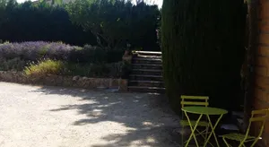 Image of les oliviers