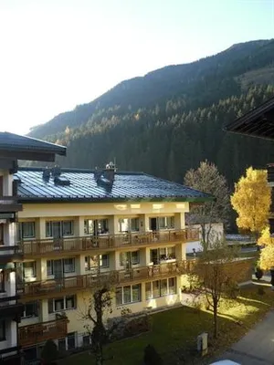 Image of Bear Hutte Saalbach near Billa