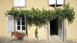 Image of Domaine Les Bachats