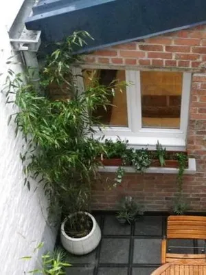 Image of Gîte Mosaïque