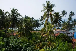 Image of Minara Guest House