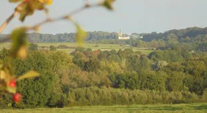 Image of Le Memagne