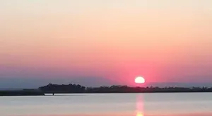 Image of APPART SOMA