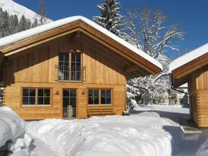 Image of Ferienhütten Lechtal Chalets